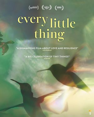 Every Little Thing